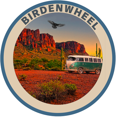 birdenwheel novel cover logo